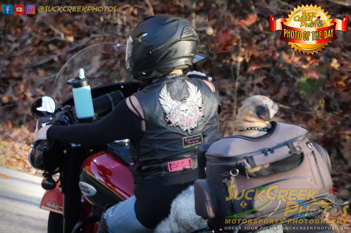 Motorcycle Pup